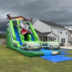 IMG 3841 1753190923 New!! 22' Huger Swamp Gator Dual Lane Water Slide